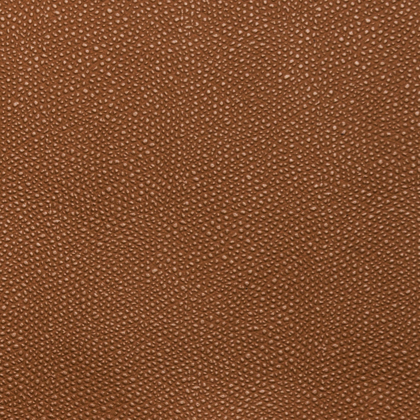 Pinetti_Ari_leather_camel