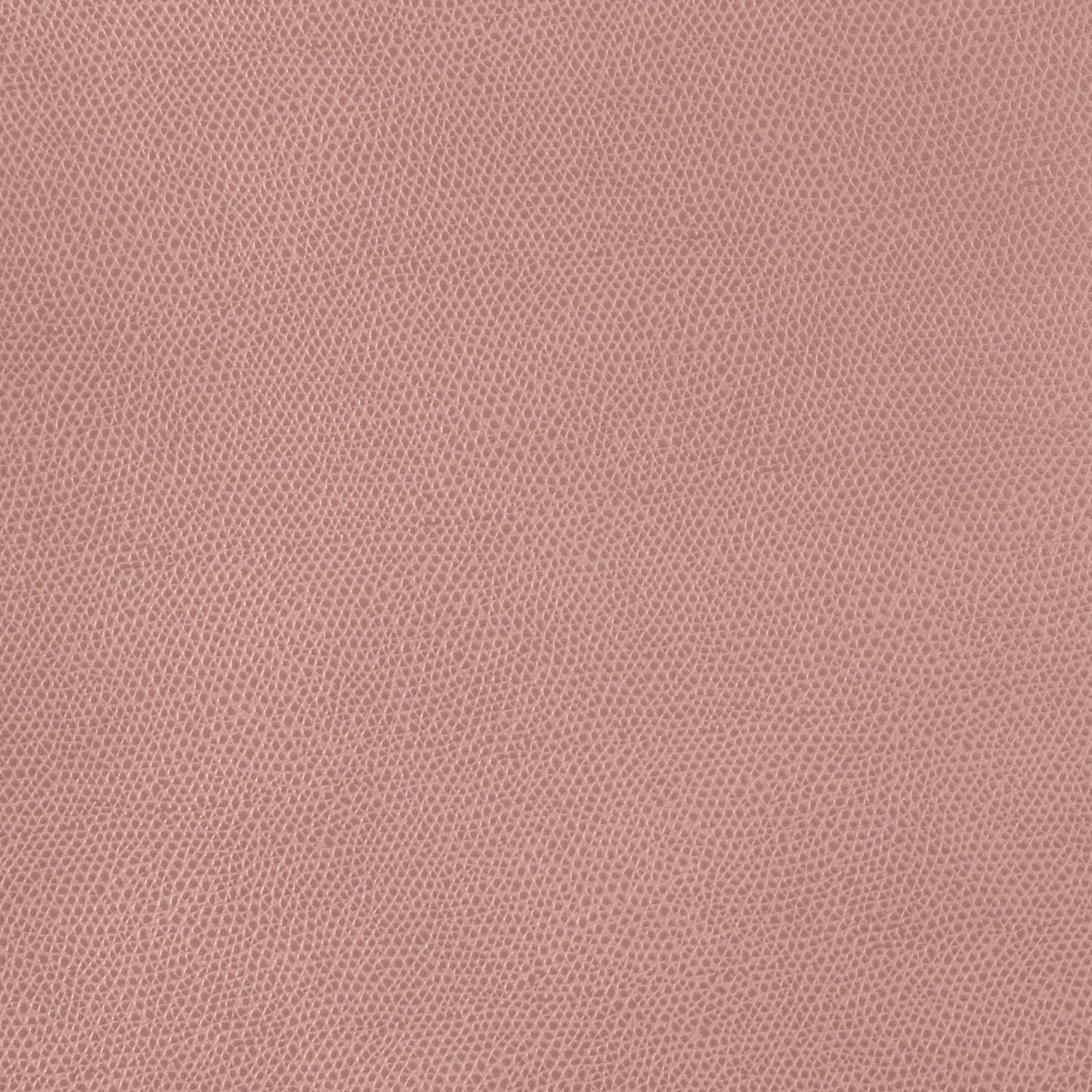 Pinetti_leather_liverpool_pink