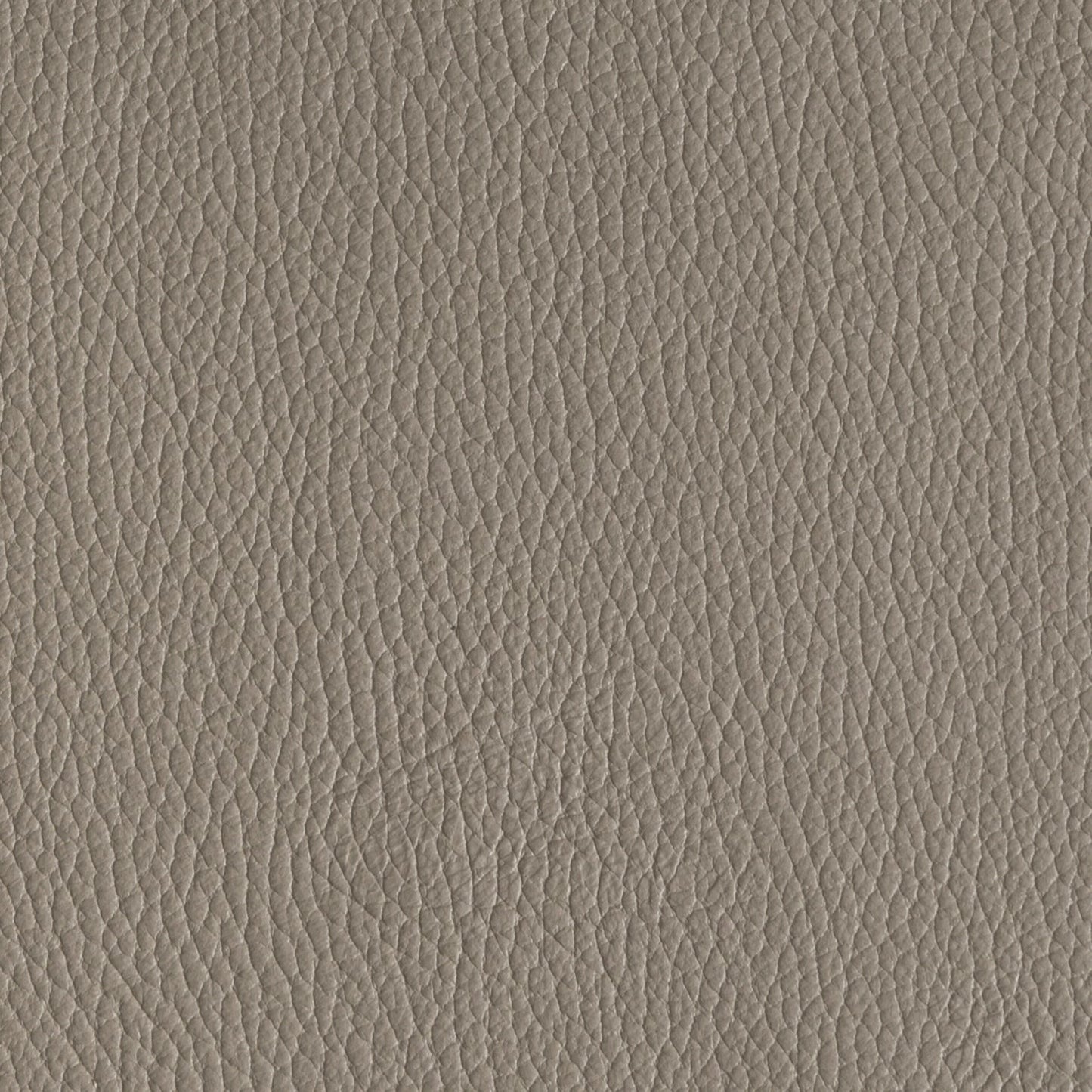 Pinetti_leather_liverpool taupe