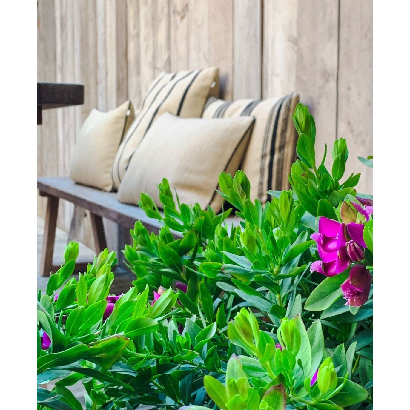 Scapa_Home_outdoor_cushions_Giulia_Mateo_outdoor_setting