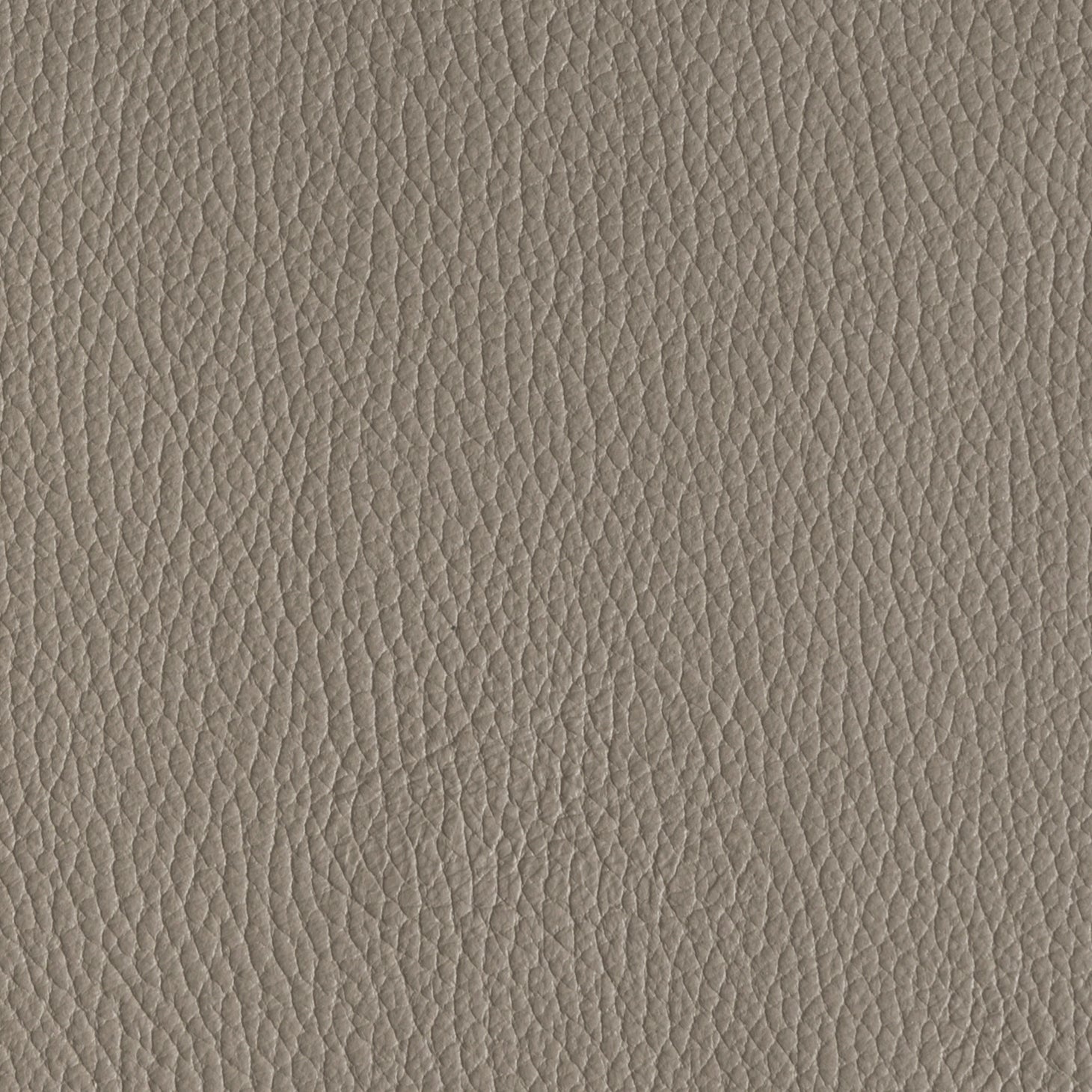 Pinetti_Luxor_leather_taupe Pinetti_Luxor_leather_taupe