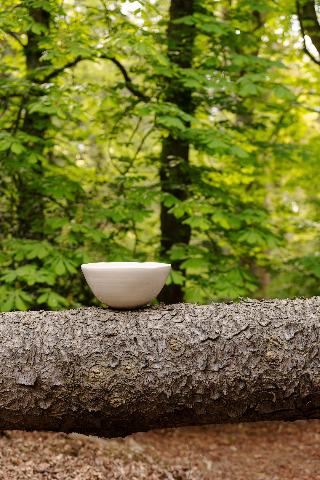 Scapa Home stoneware bowl 'Peneda' in ivory colour